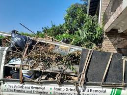 Best Dumpster Rental Services  in Tierra Verde, FL